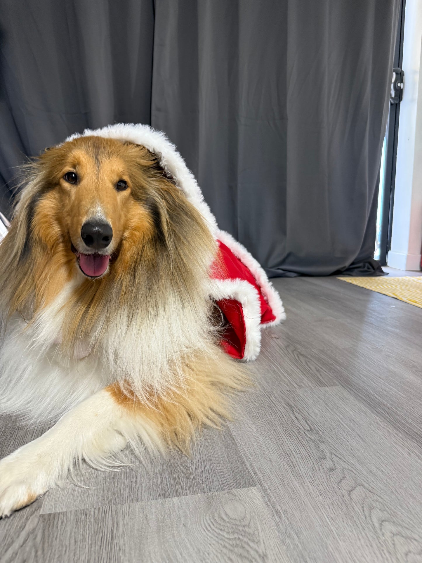 Santa Cape
