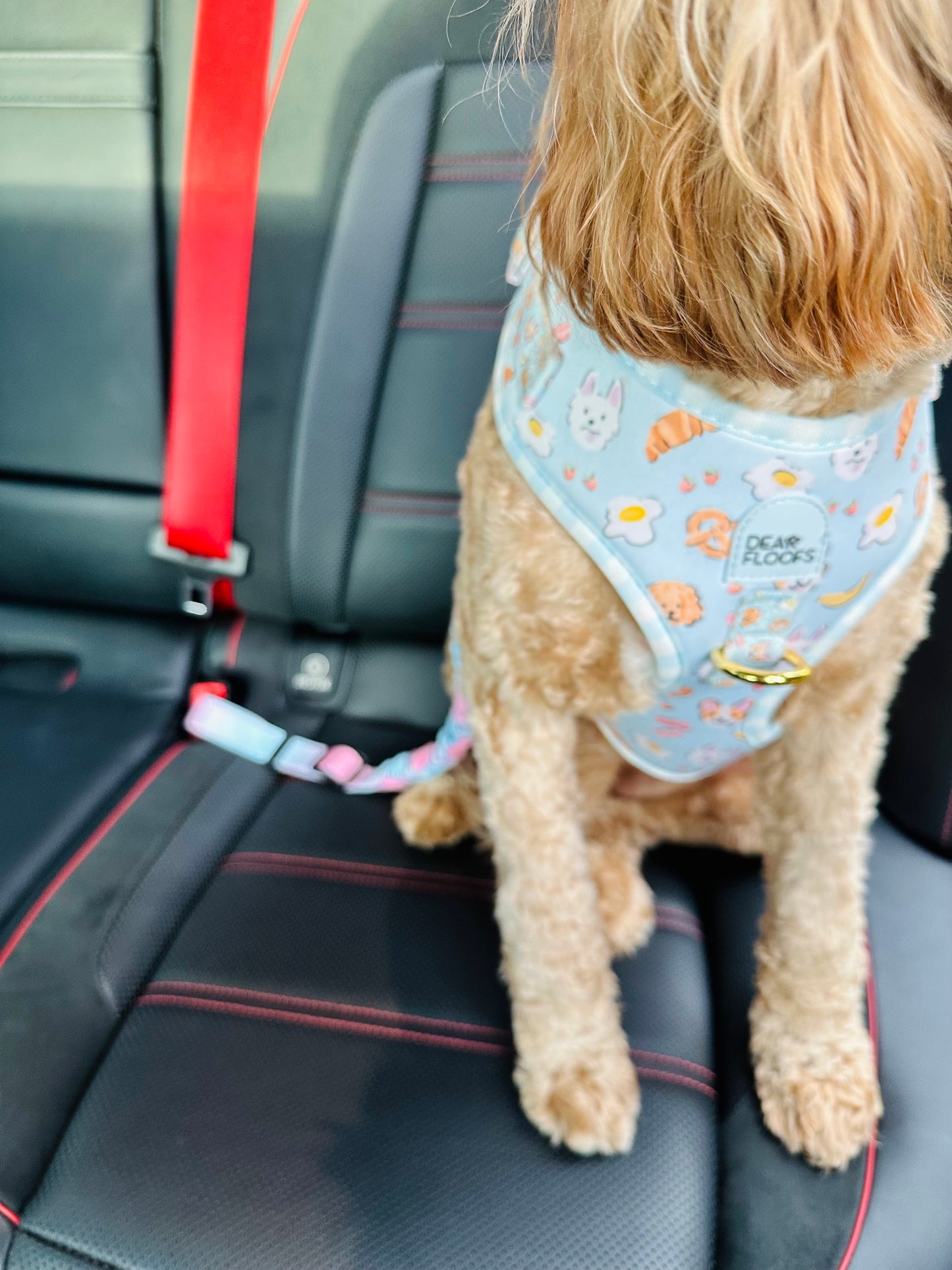 Dog Car Seat Belt