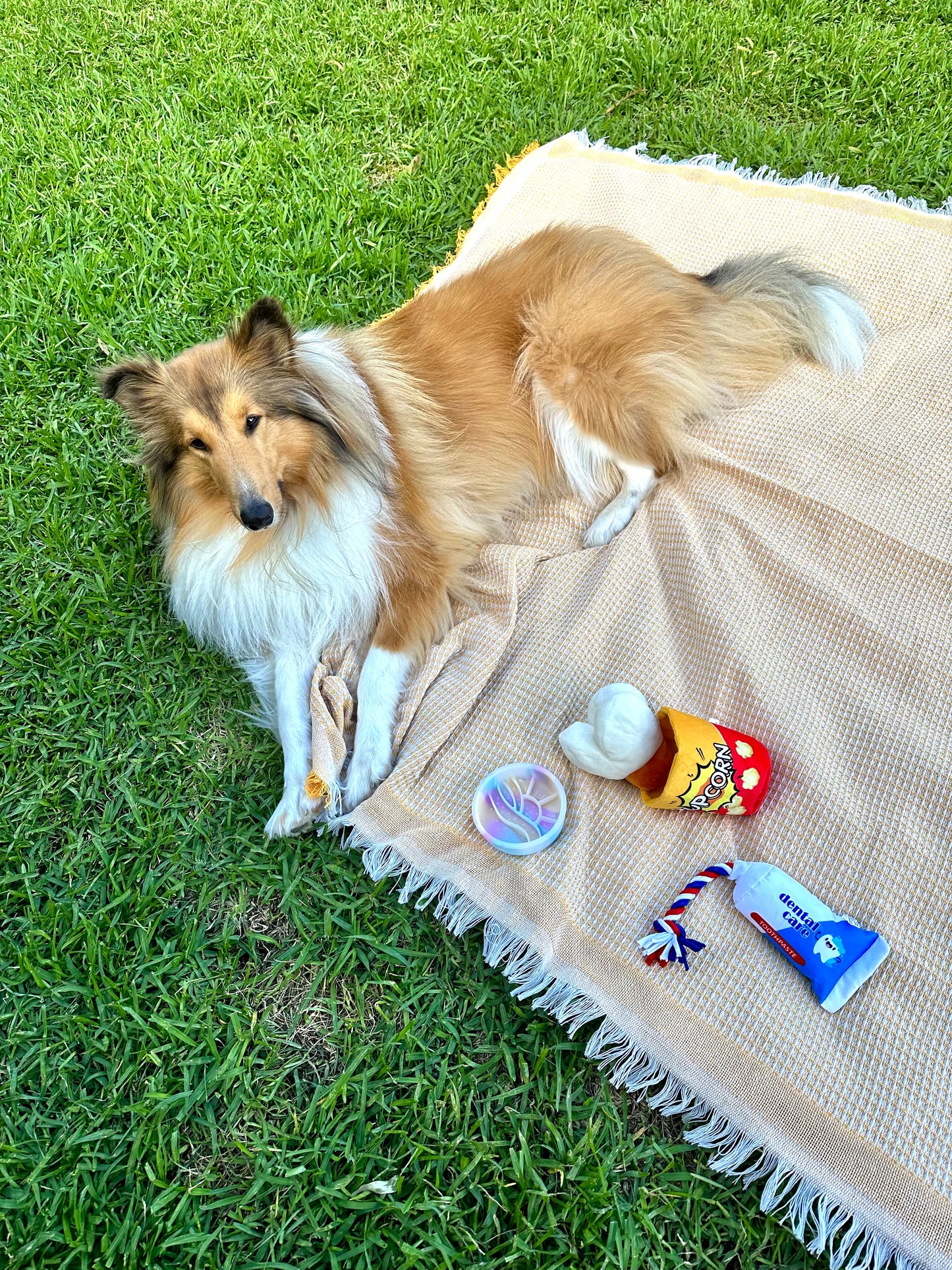 Picnic Mat