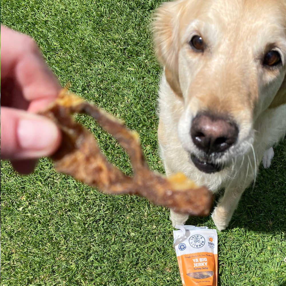 Turkey Jerky