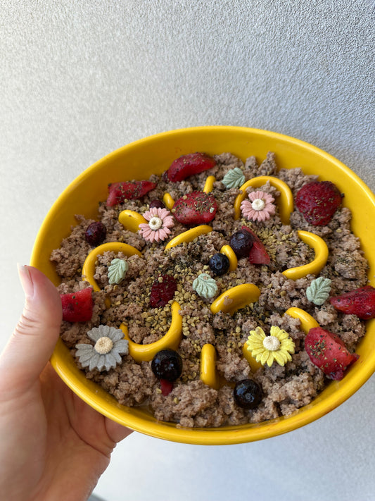 Kamamuta Slow Feeder Ceramic Bowl