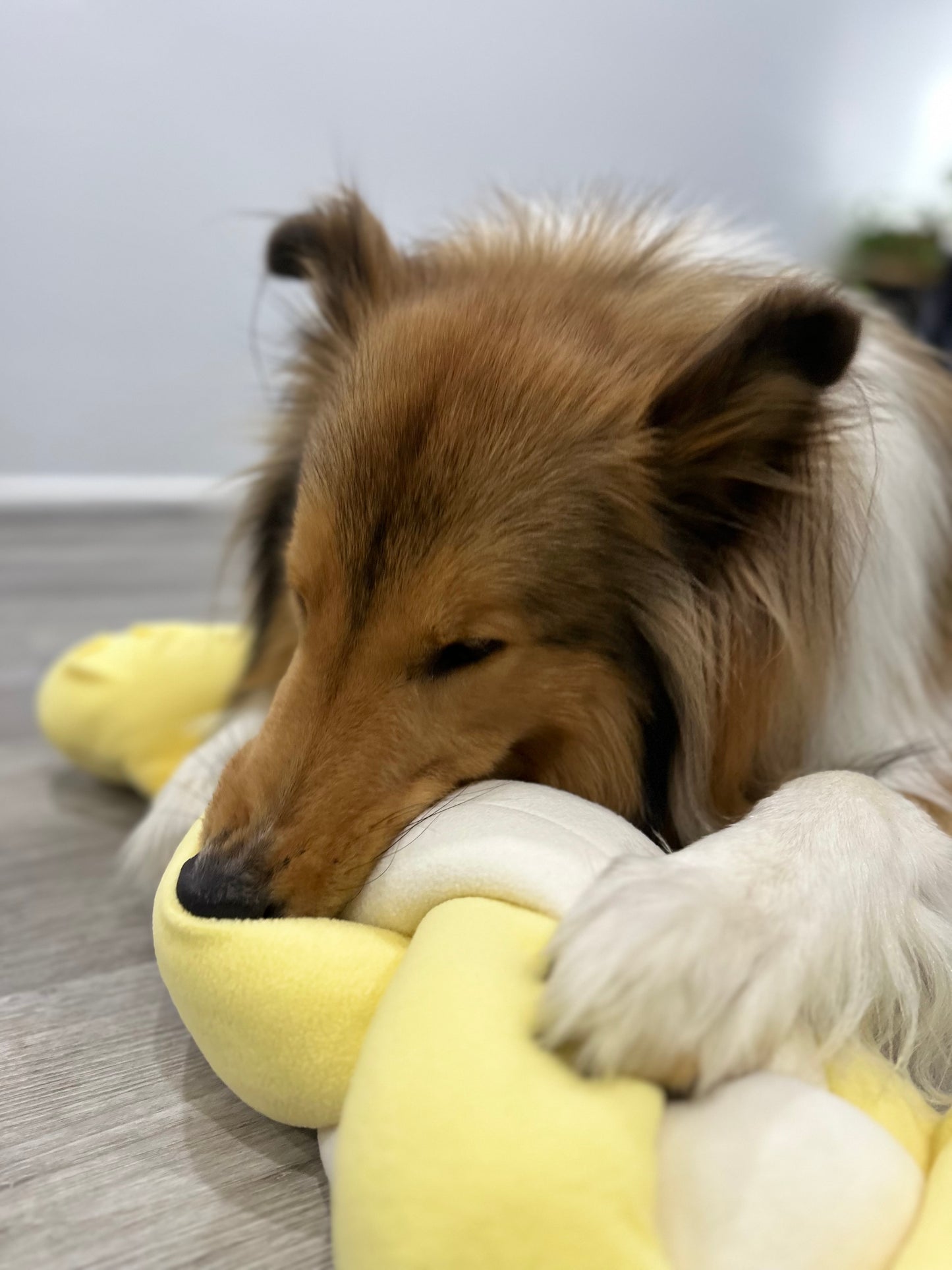 Snuffle Knotted Bone