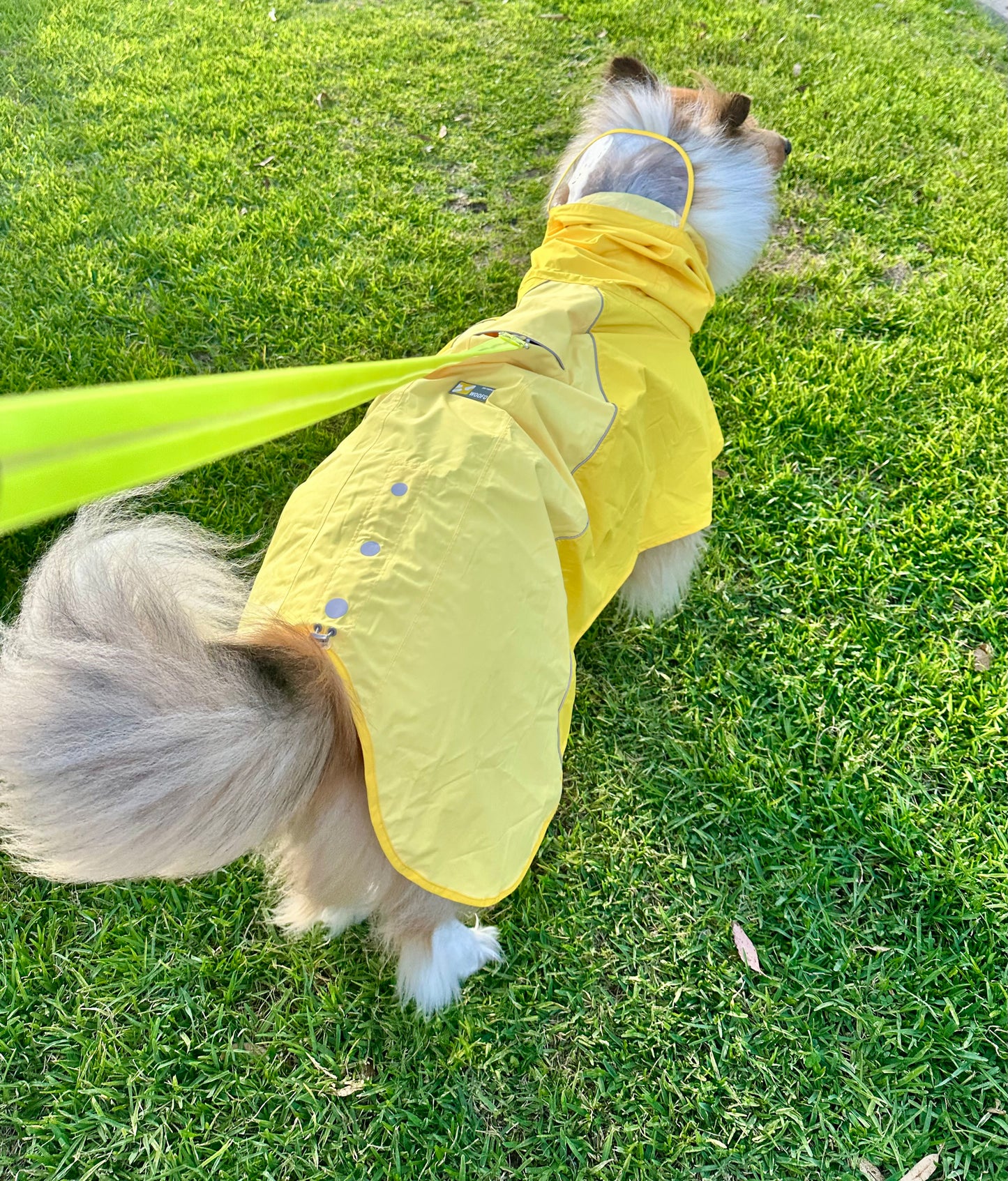 WOOFO Rain Coat / Poncho