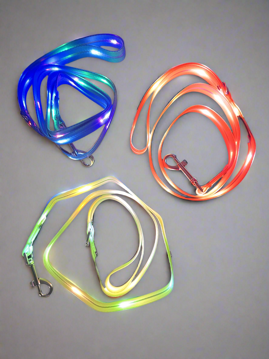 LED Leash