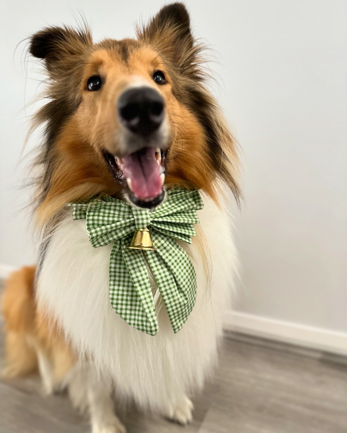 Christmas Bow