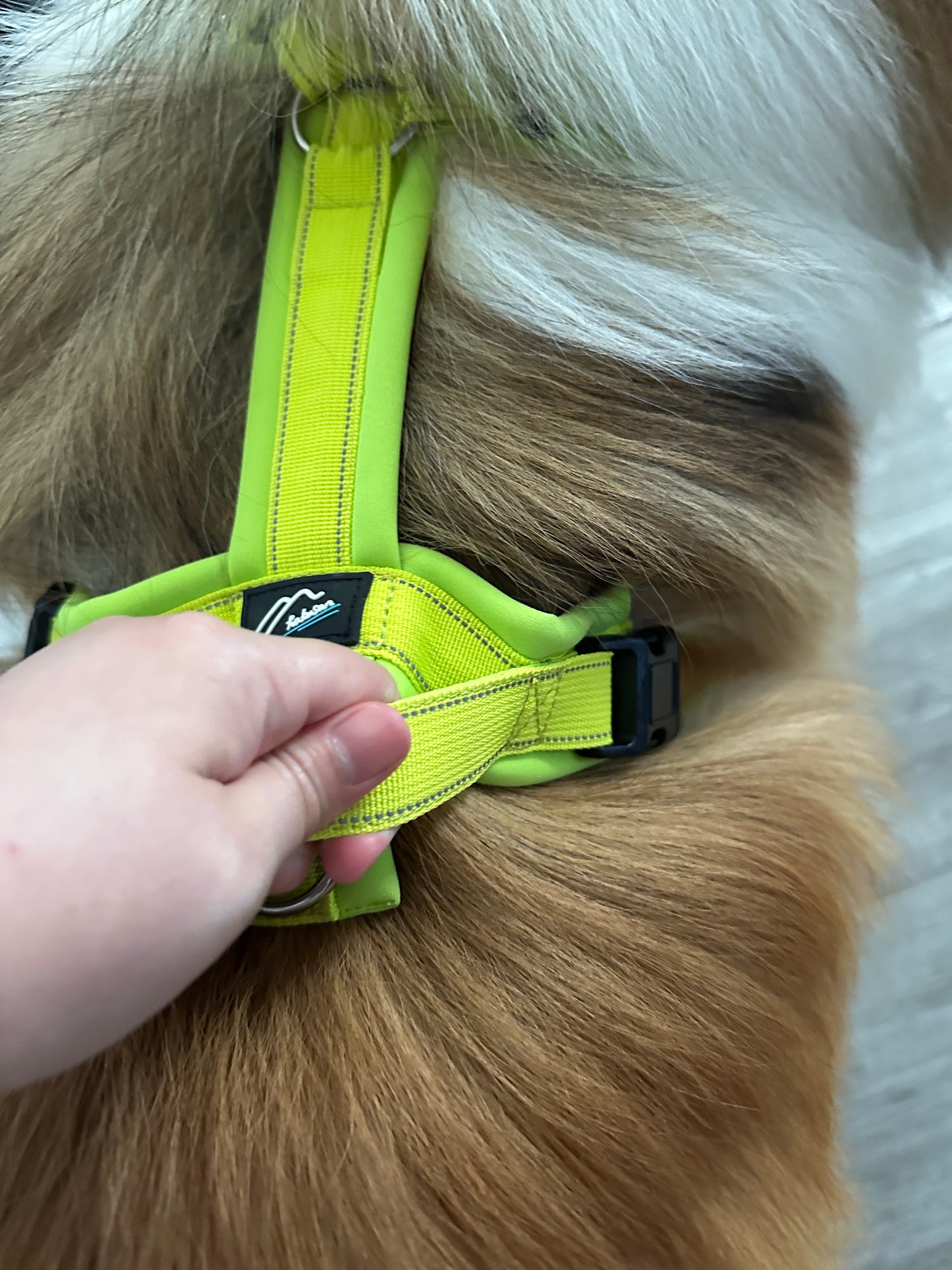 Hakusan Zero Harness (Y Shape)