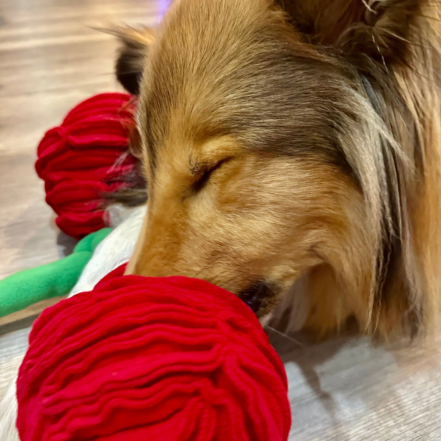 Cherry Snuffle Toy