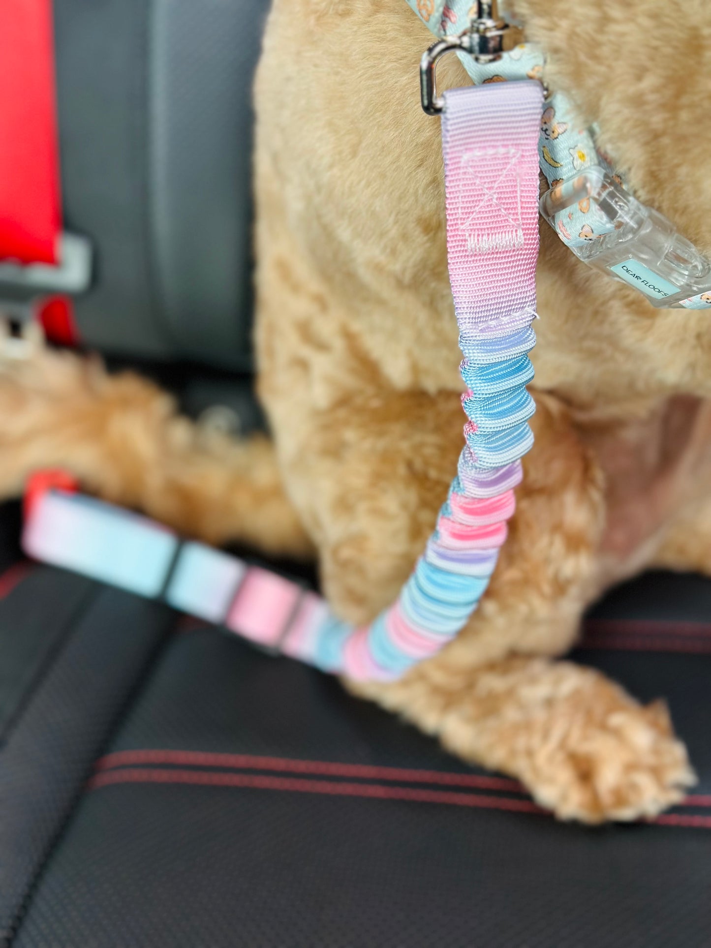 Dog Car Seat Belt