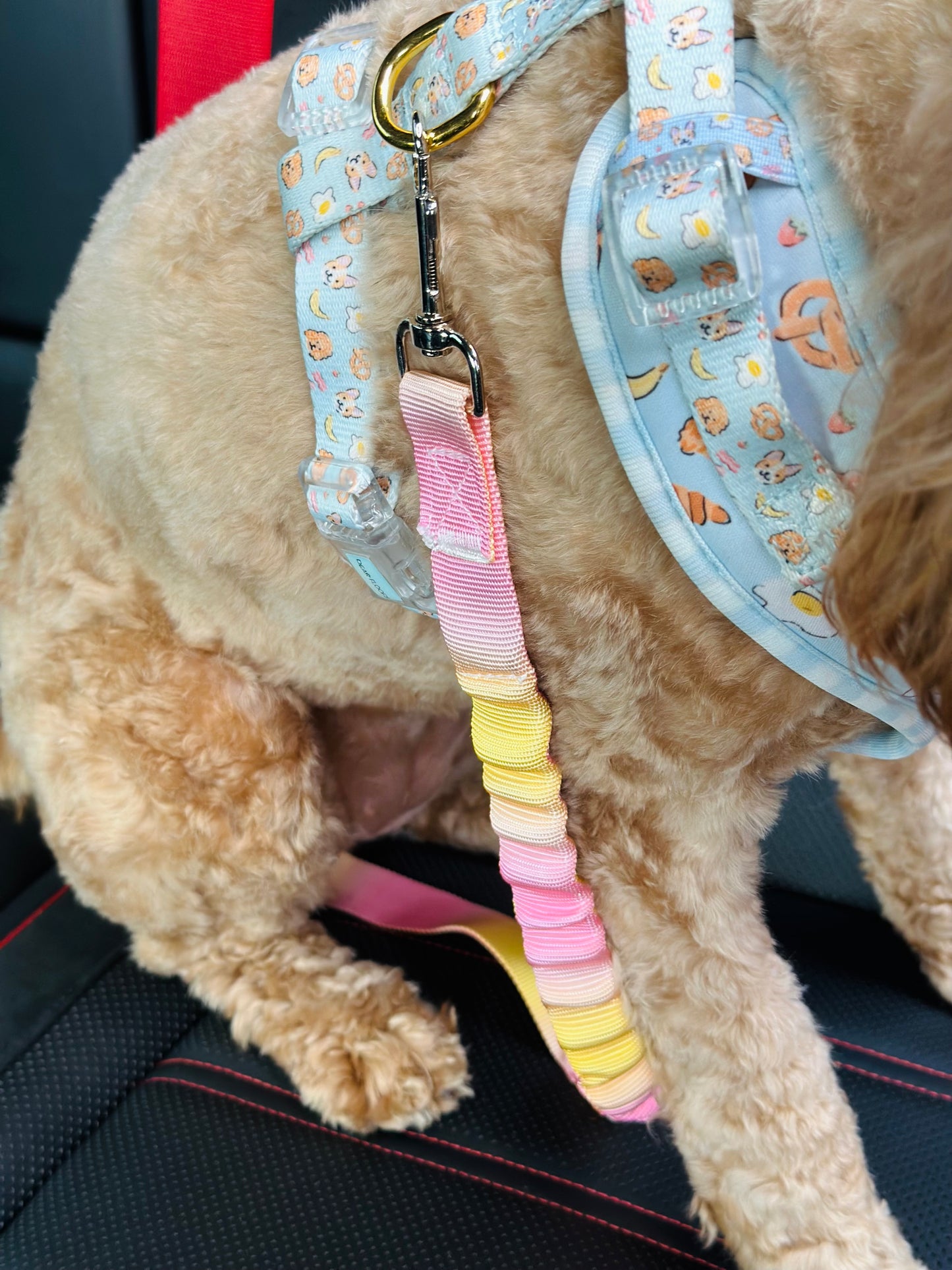 Dog Car Seat Belt