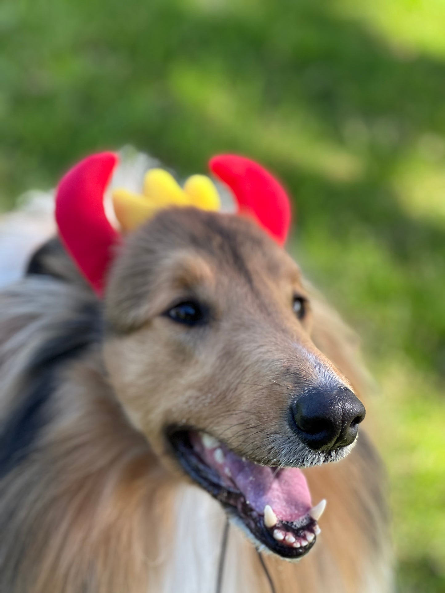 Halloween Horns