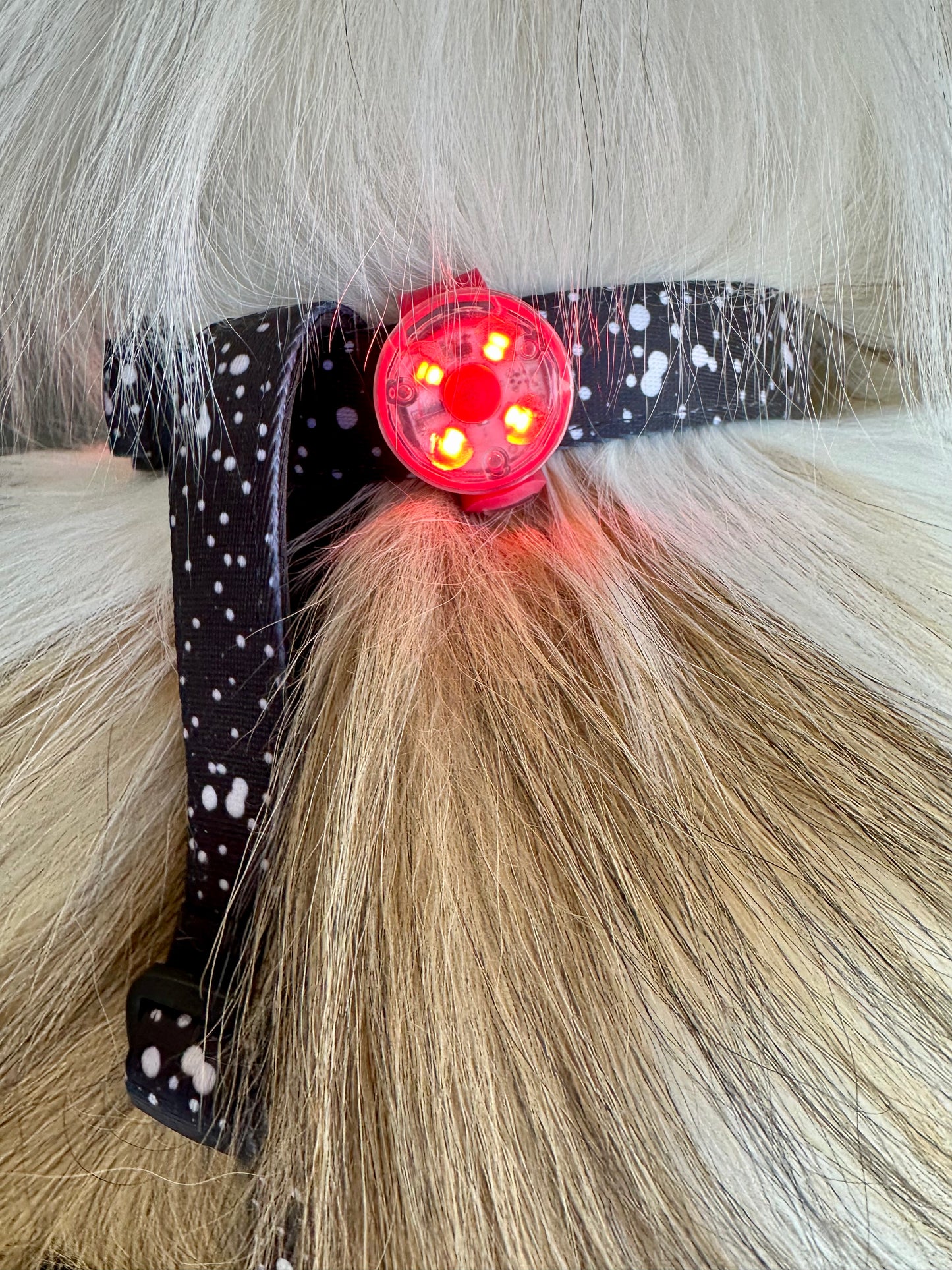 LED Dog Multi Purpose Safety Light
