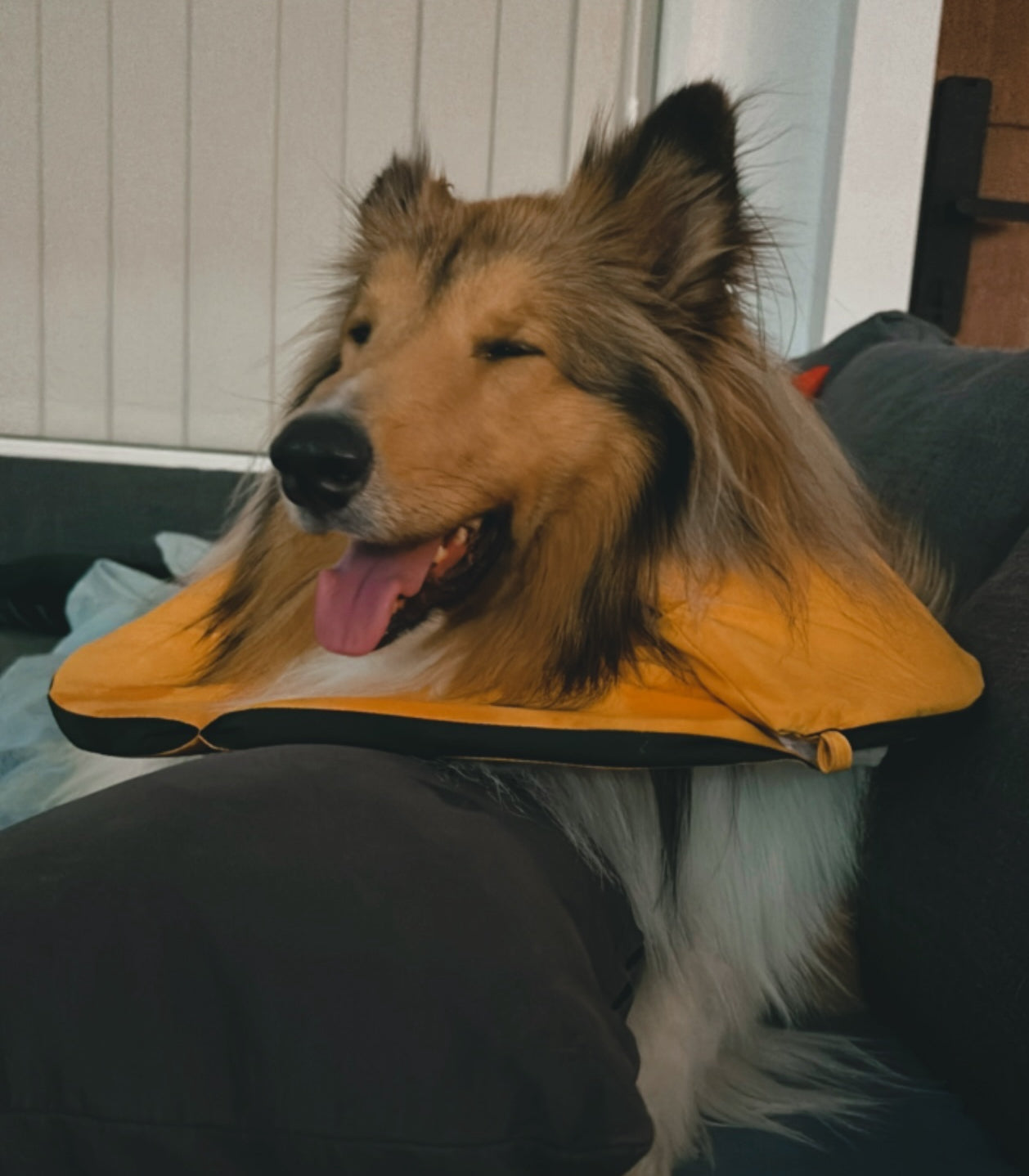 Soft Padded Recovery Cone