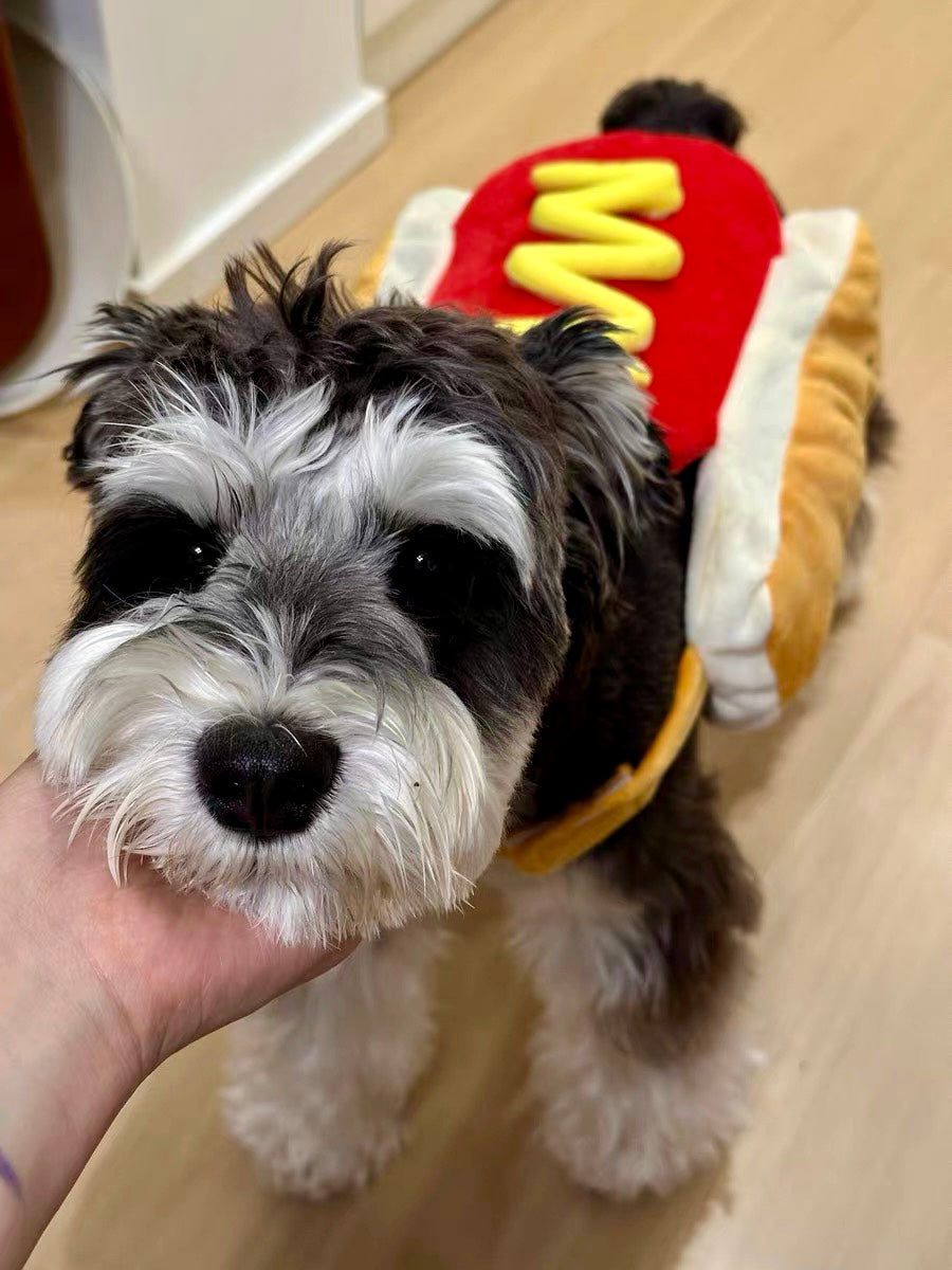 Hotdog costume