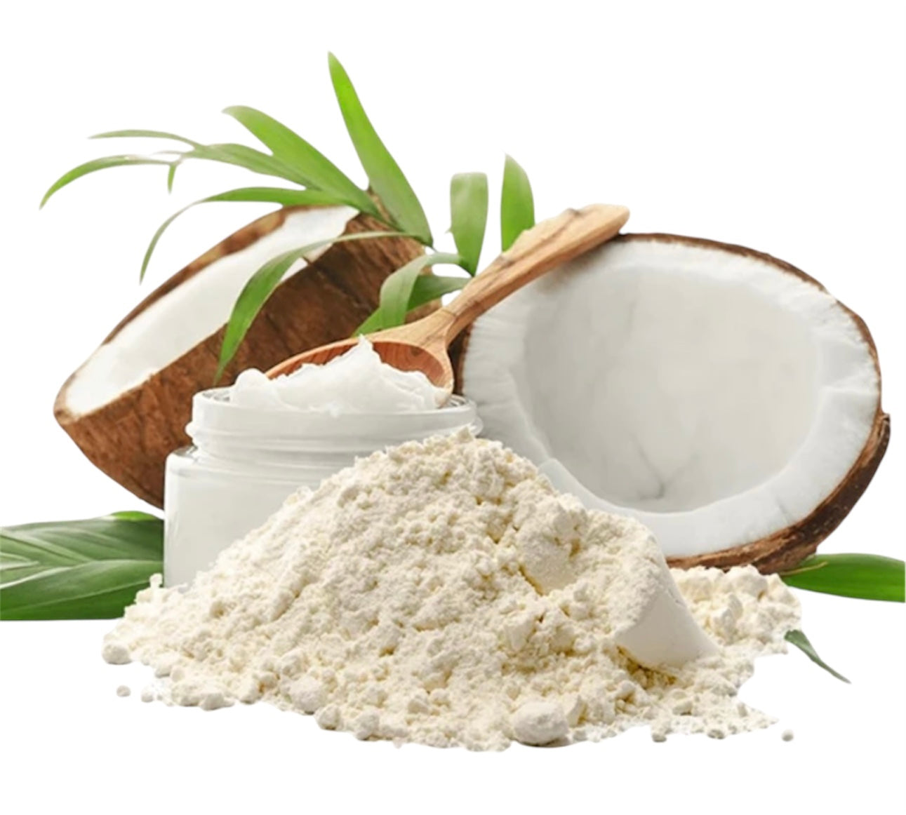 Organic Coconut Milk Powder