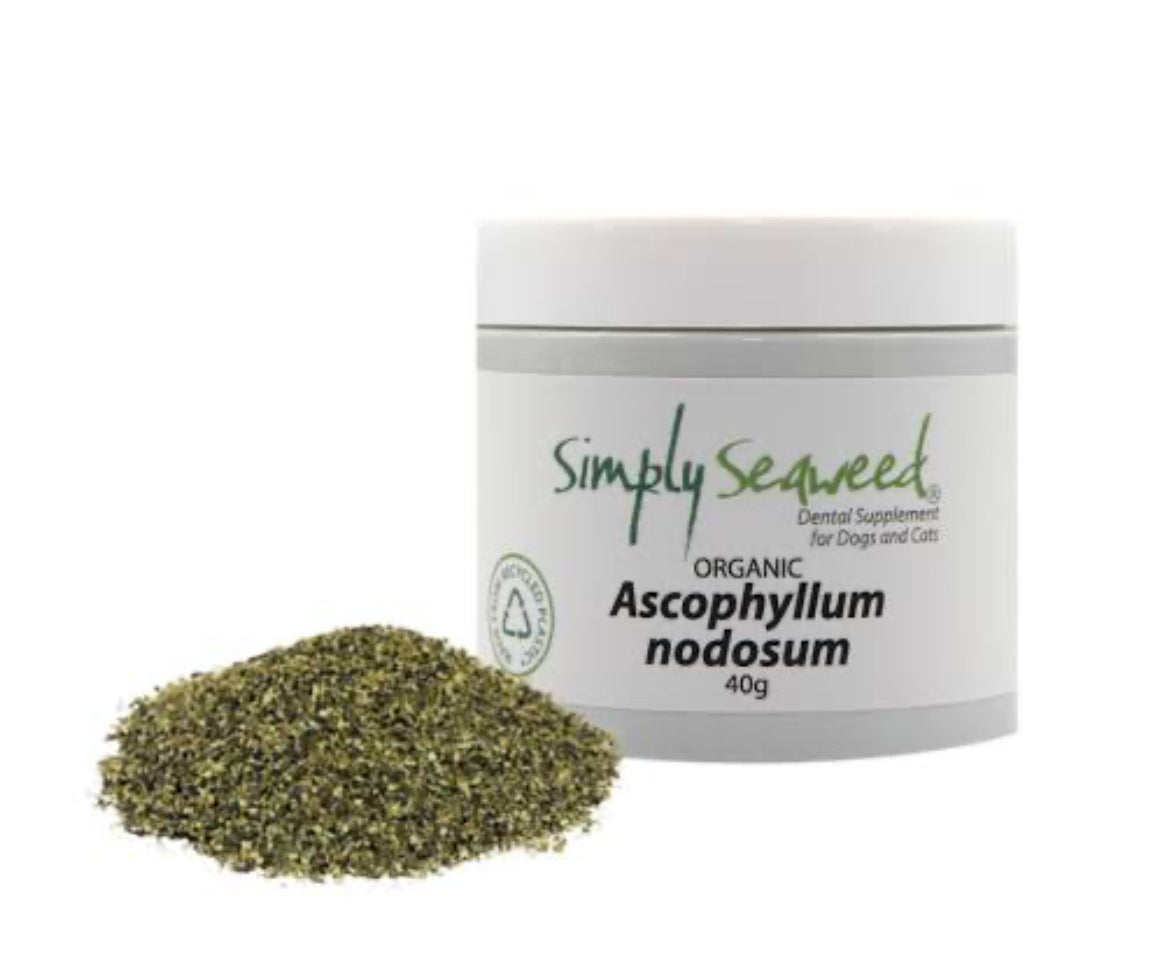 Simply Seaweed Dental Supplement