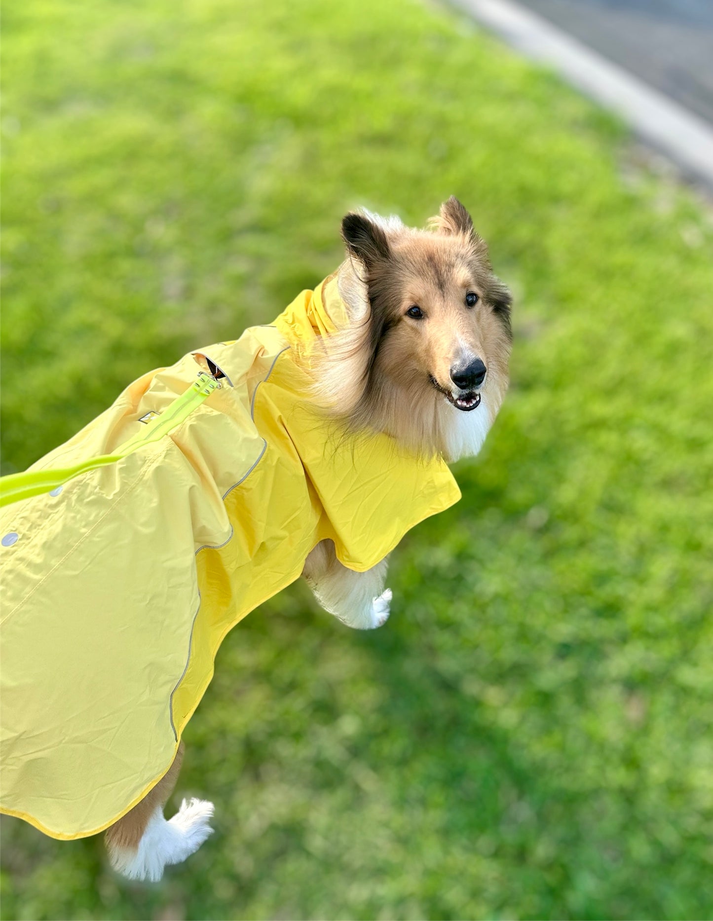 WOOFO Rain Coat / Poncho