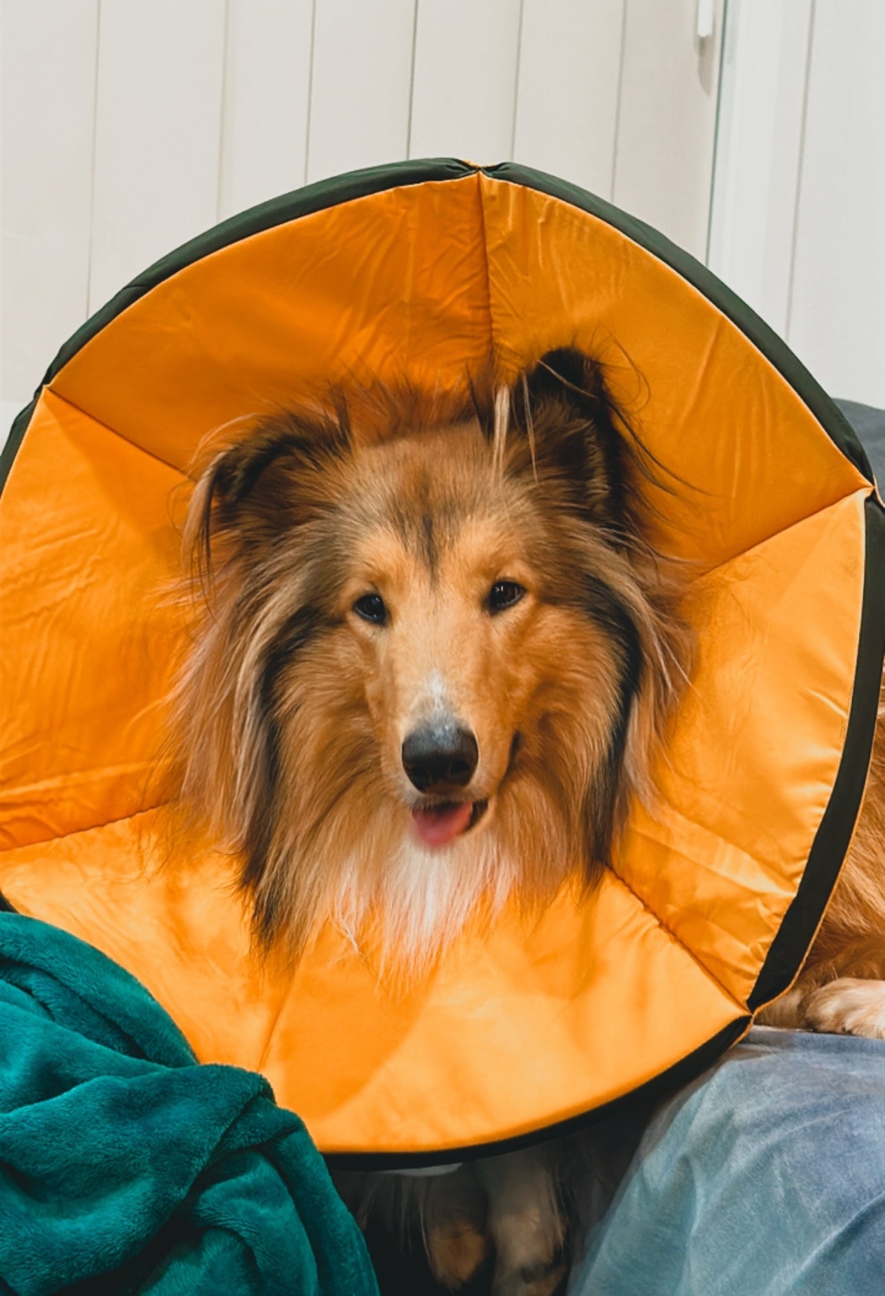 Soft Padded Recovery Cone