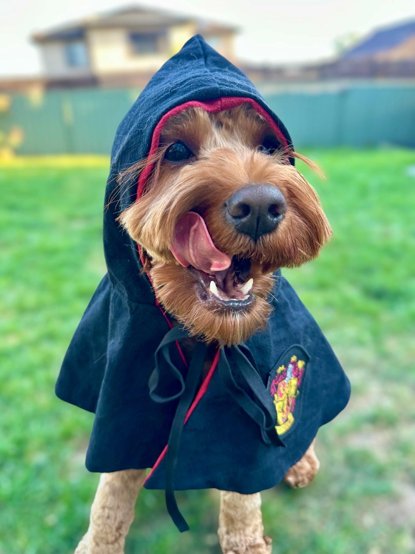 Harry Potter Cape