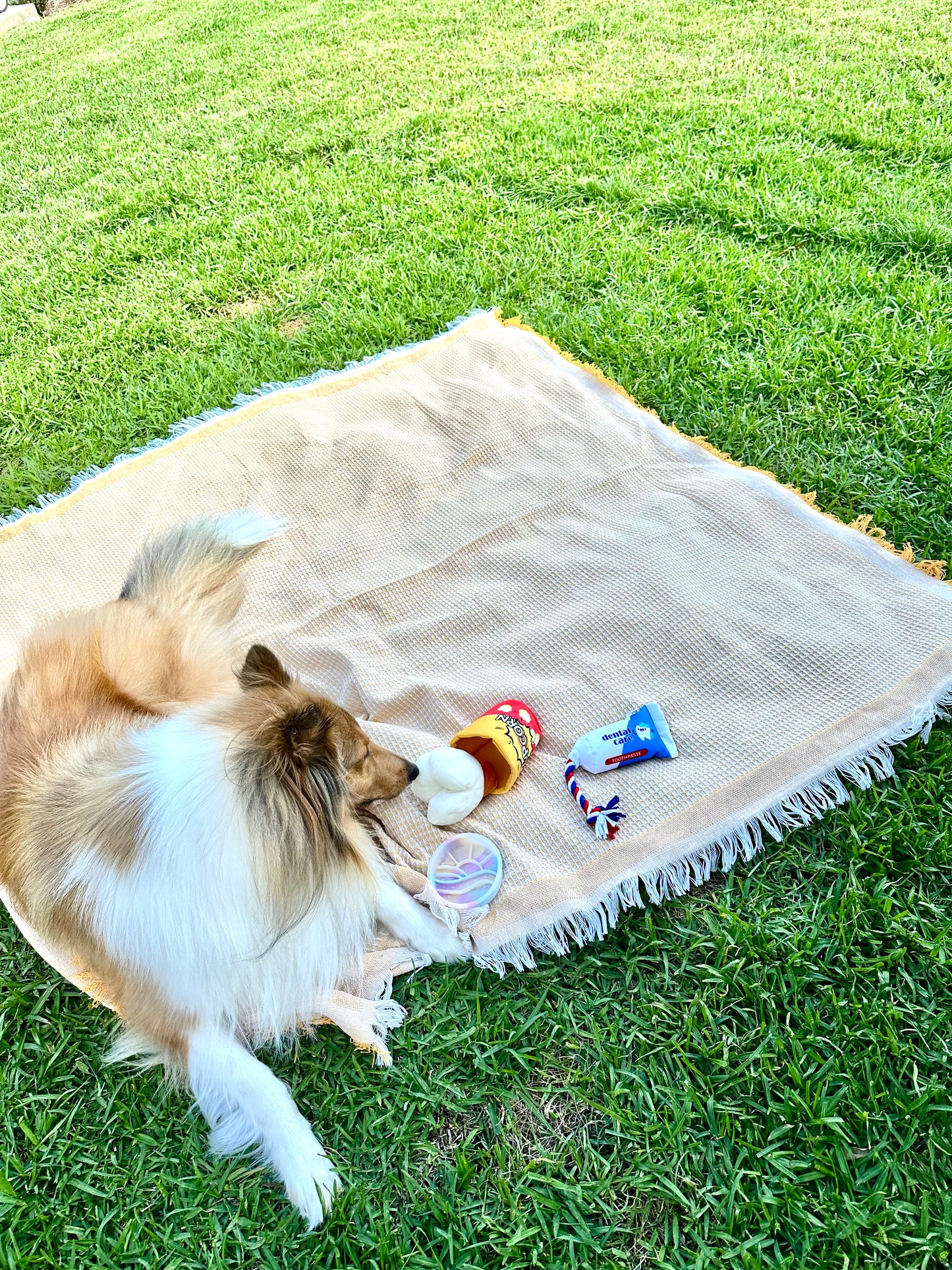Picnic Mat