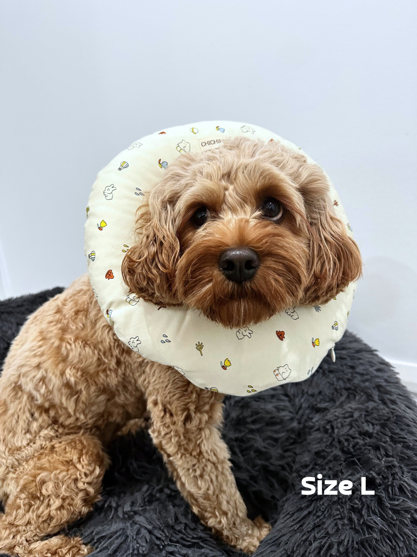 Soft Recovery Collar