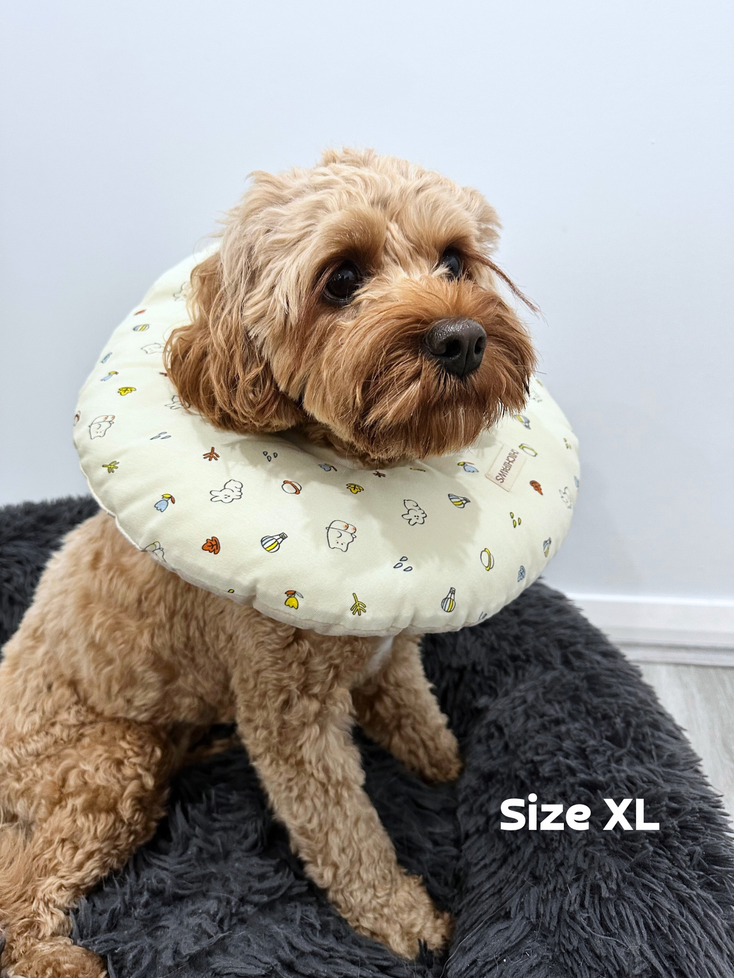 Soft Recovery Collar