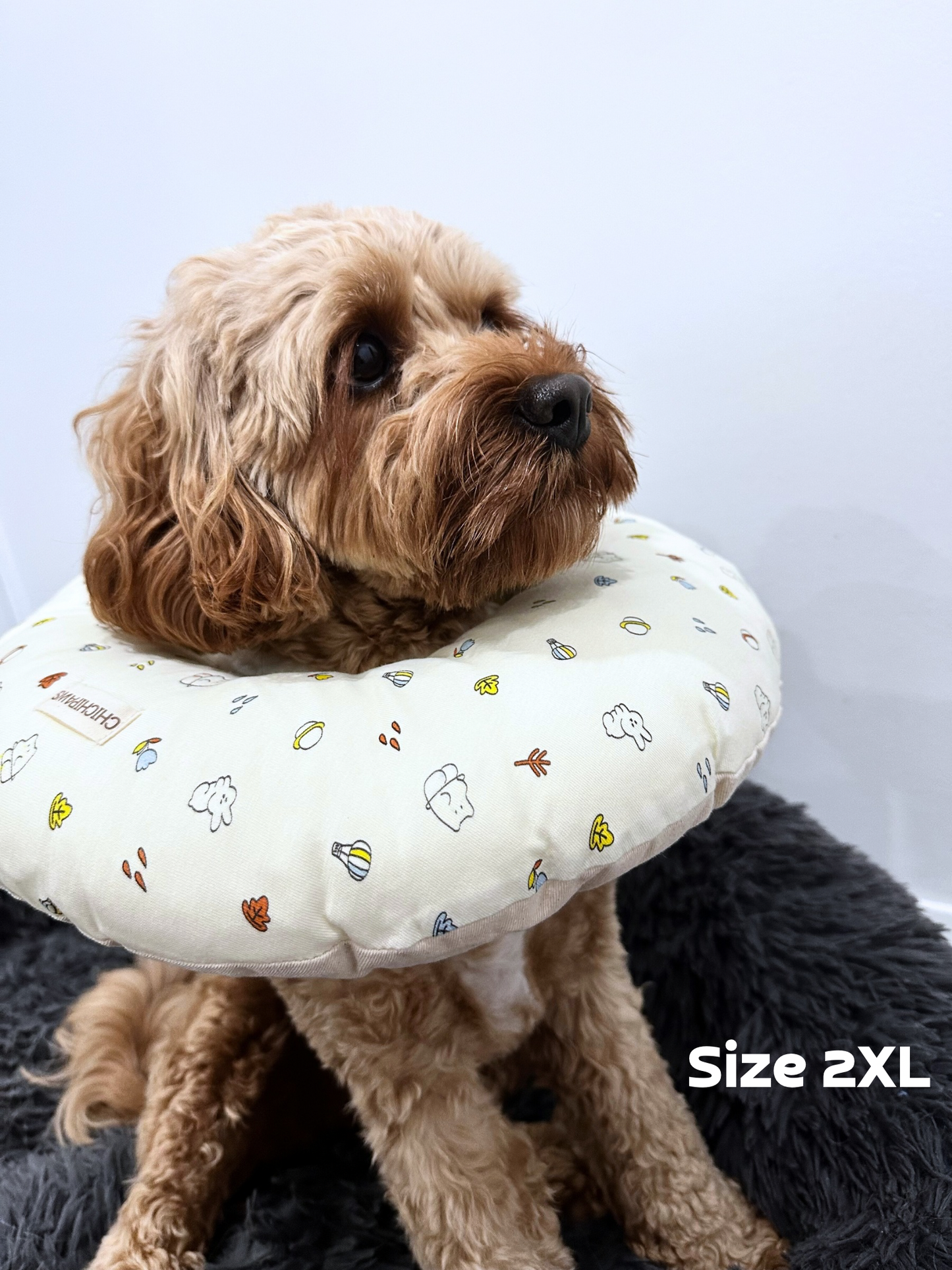 Soft Recovery Collar