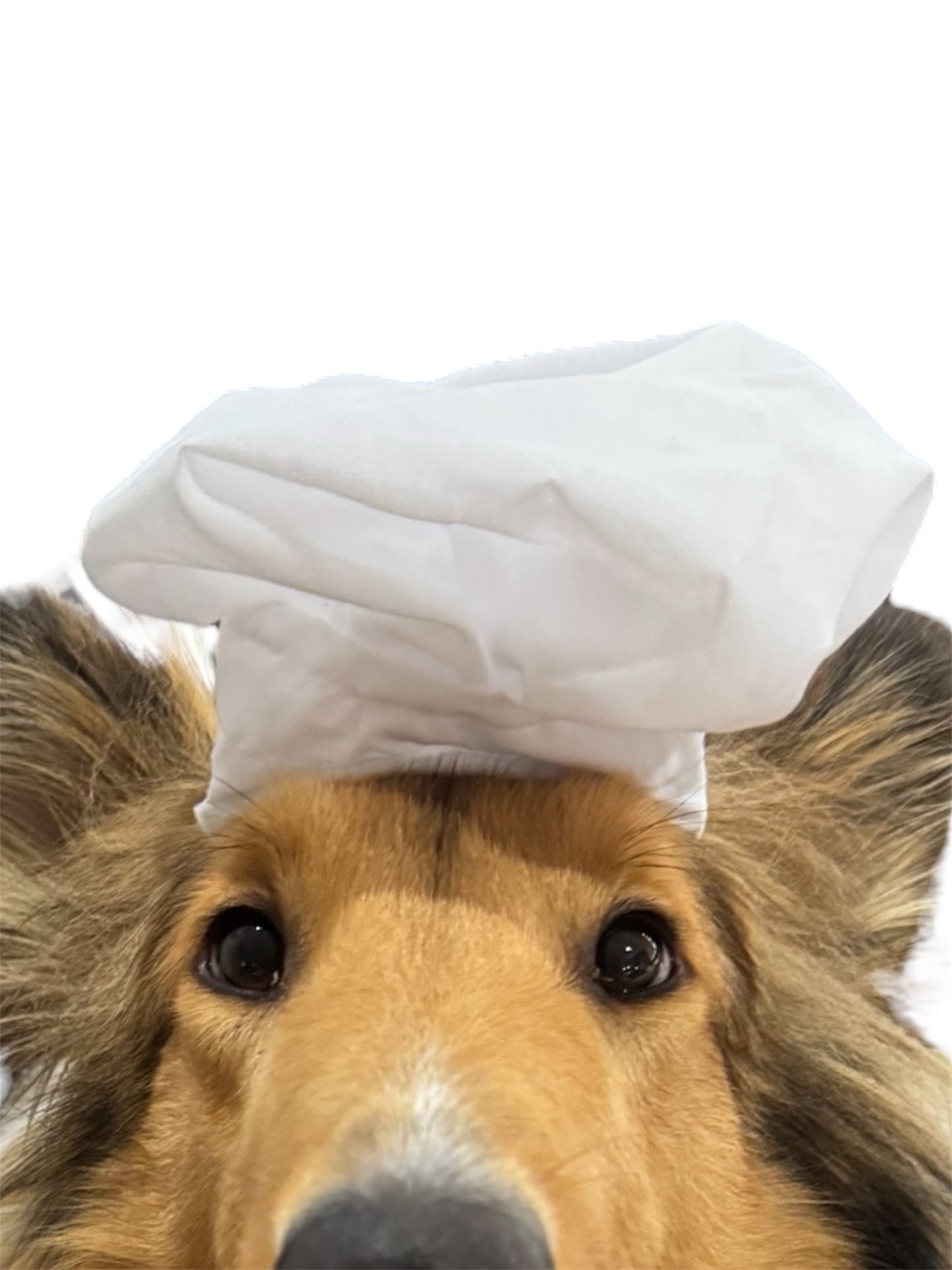 Chef Hat