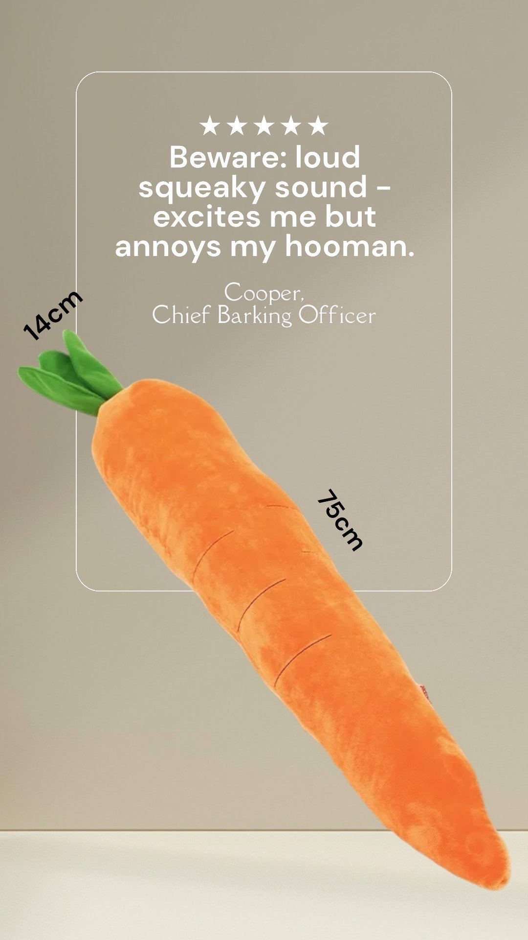 Long Carrot Toy