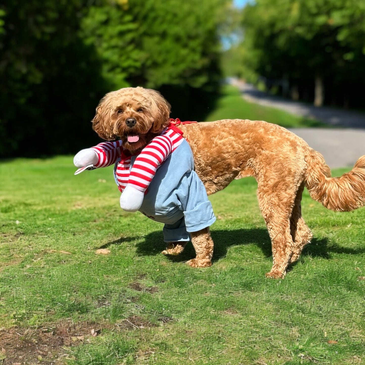 Chucky Halloween Outfit