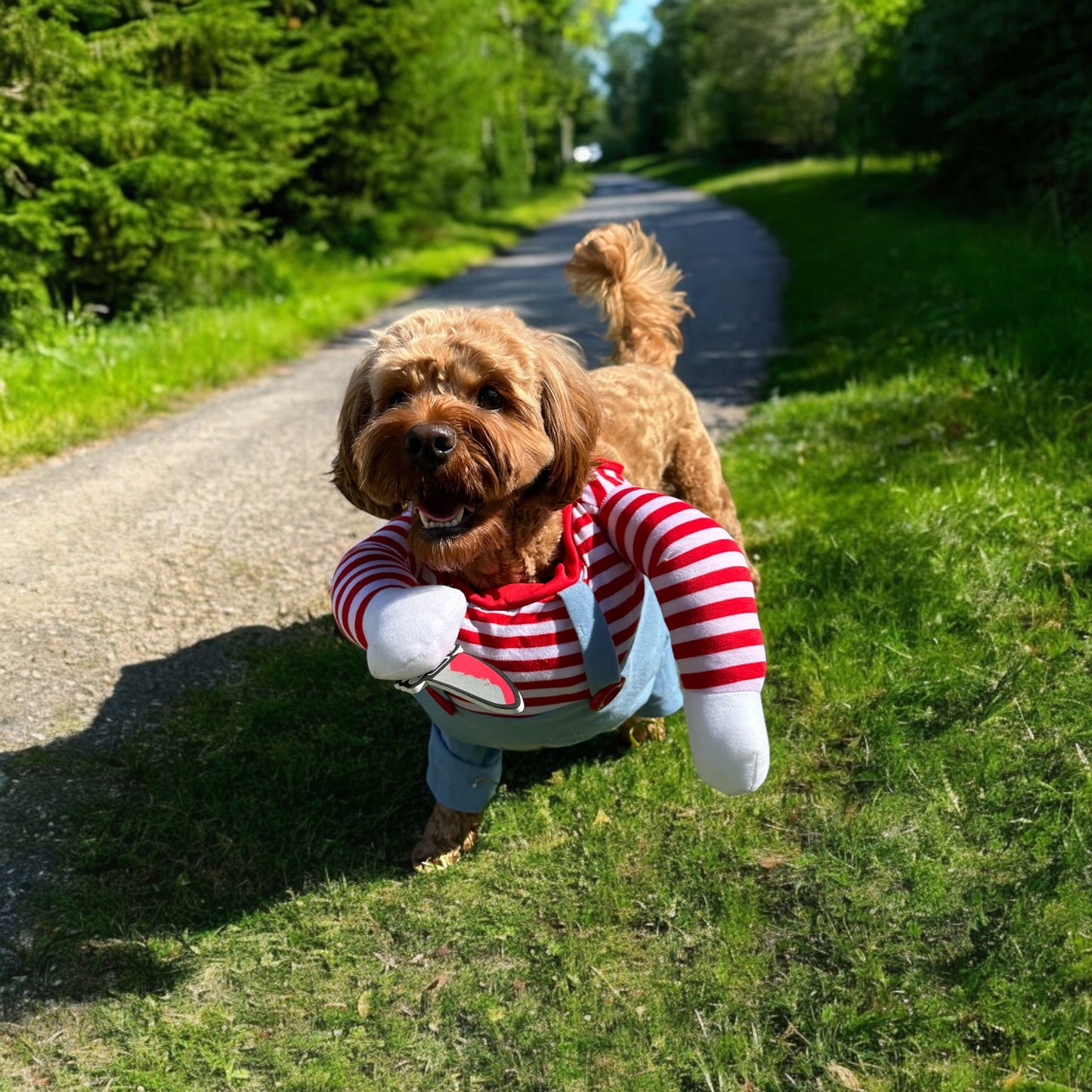 Chucky Halloween Outfit