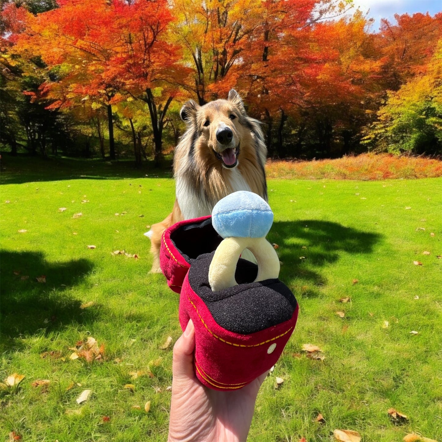 Dog Proposal Ring