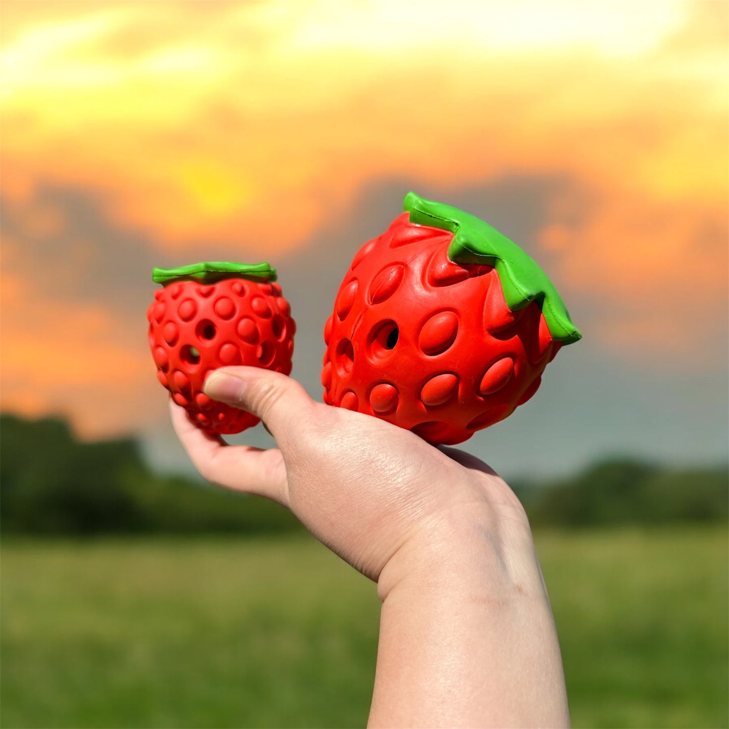 Strawberry Treat Dispenser Toy