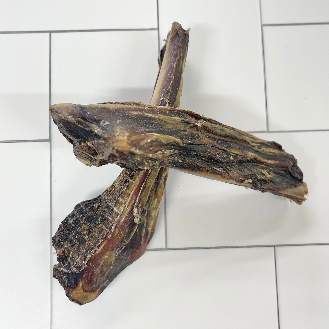 Kangaroo Wings