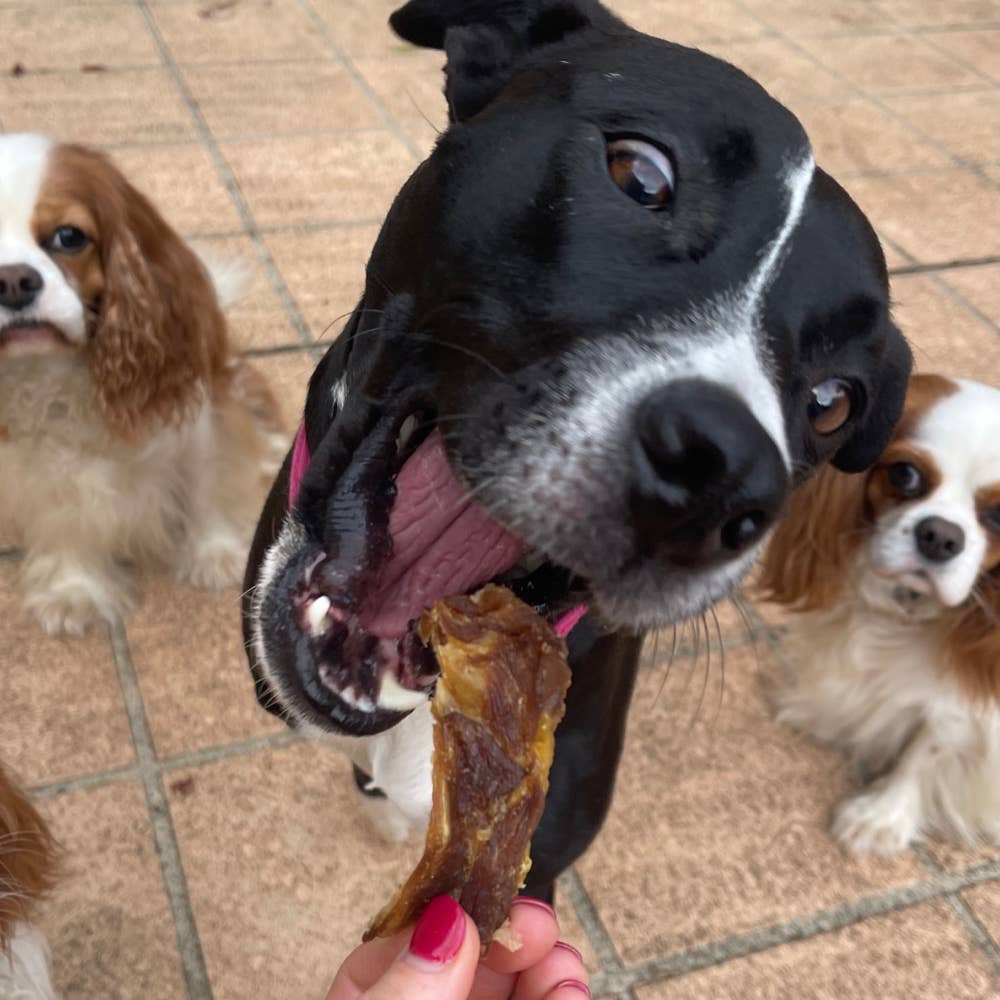 Turkey Jerky