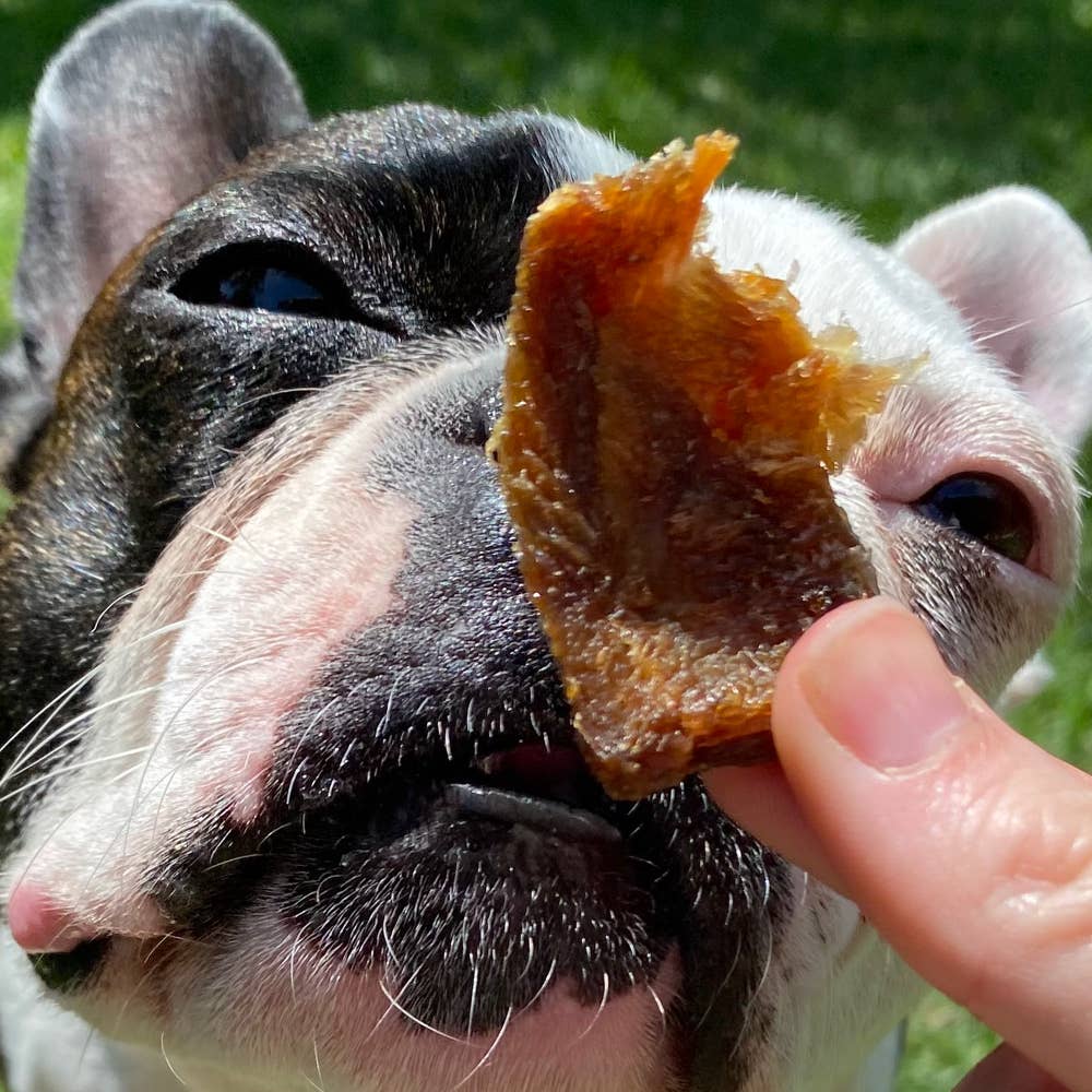 Turkey Jerky