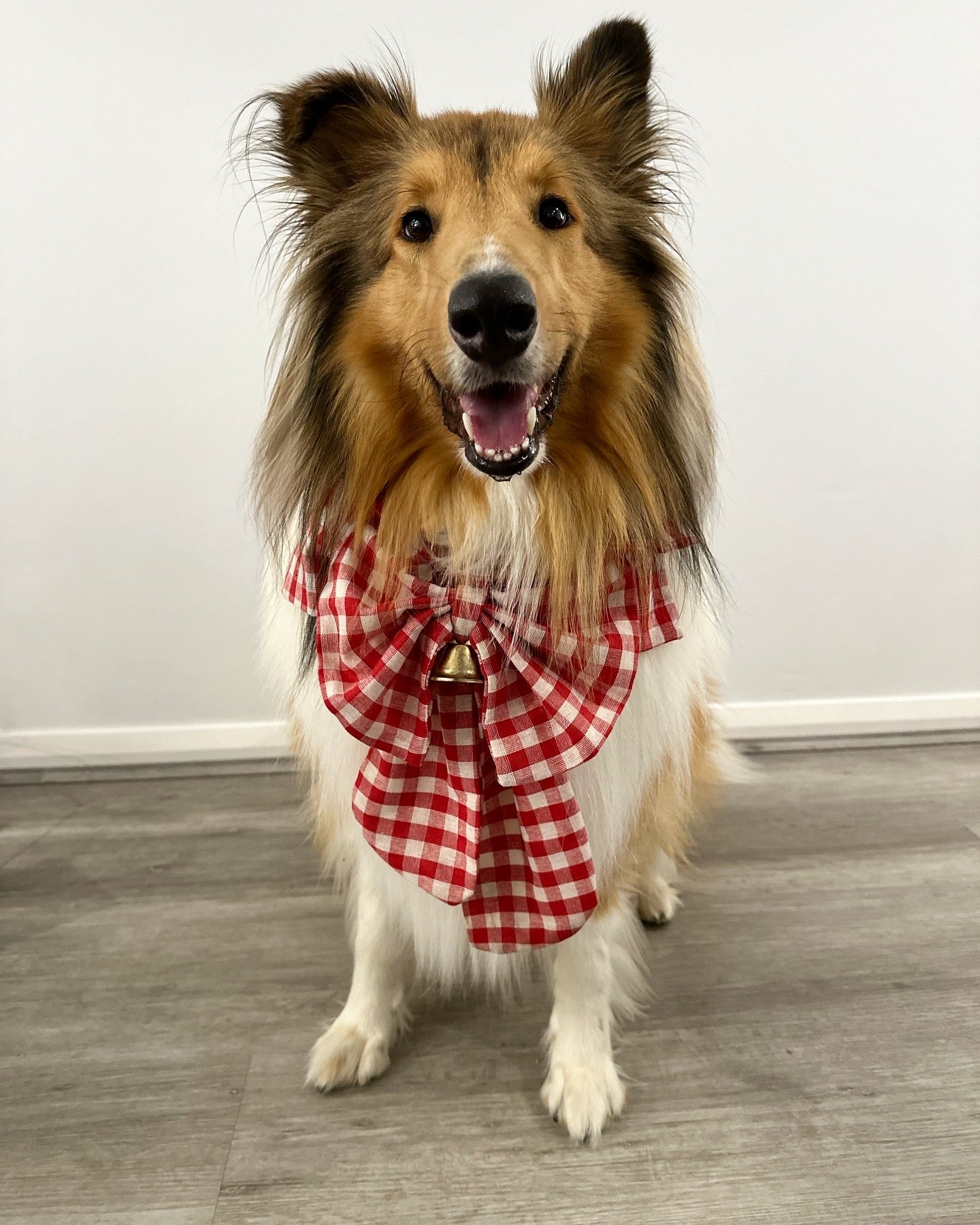 Christmas Bow