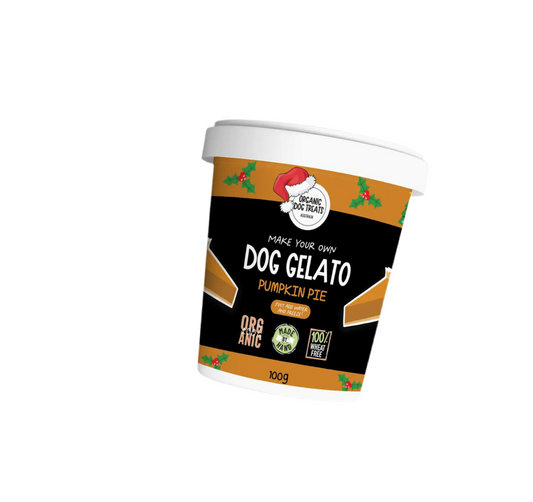 Dog Gelato Pumpkin Pie