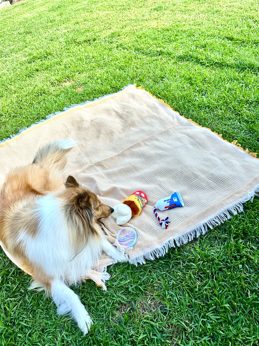 Picnic Mat