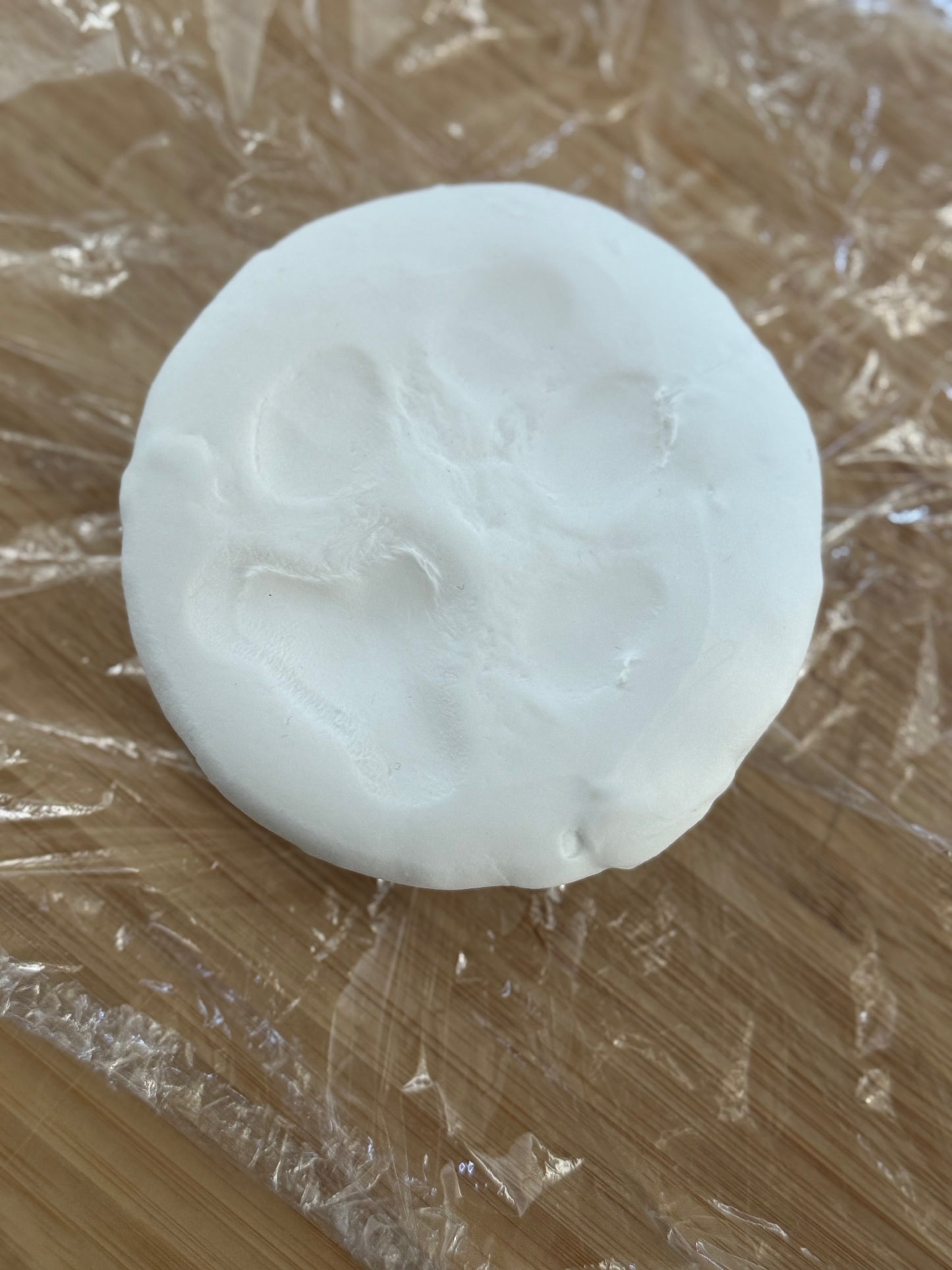 Air Dry Clay Keepsake Kit - newborn and pets